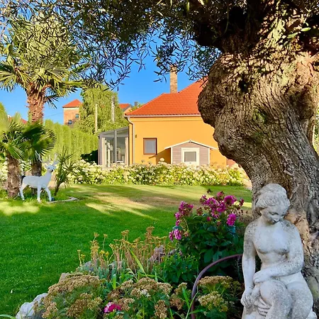 Fueredi Virag بالاتونفوريد